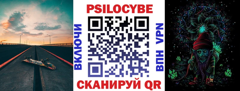 Купить где  Родники  Галлюциногенные грибы Psilocybe 